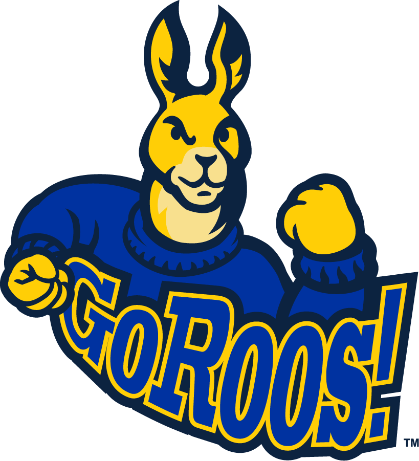 UMKC Kangaroos 2004-2008 Secondary Logo v3 diy DTF decal sticker